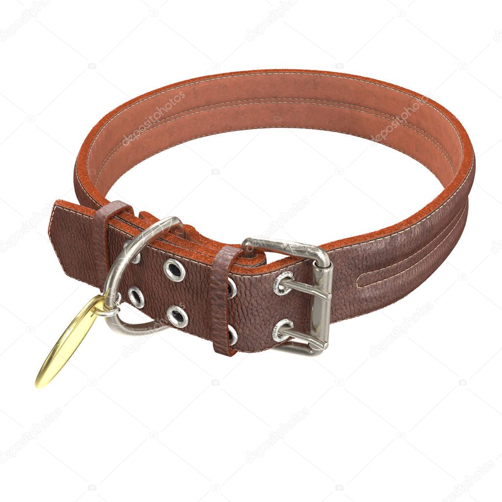 Doggy leather collar on an isolated . 3d illustration