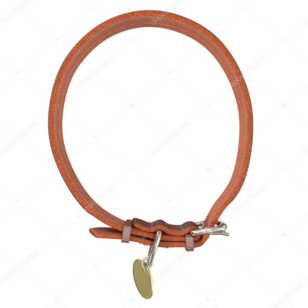 Doggy leather collar on an isolated . 3d illustration