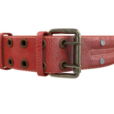 köpek deri yaka izole bir beyaz zemin üzerinde. 3D çizim