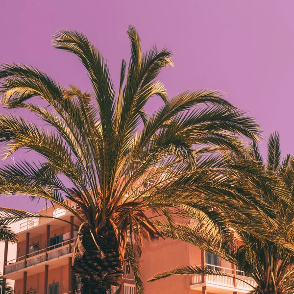 palm trees and hotel against the purple sky. bright neon colors. minimal and surreal. summer vacation. urban style