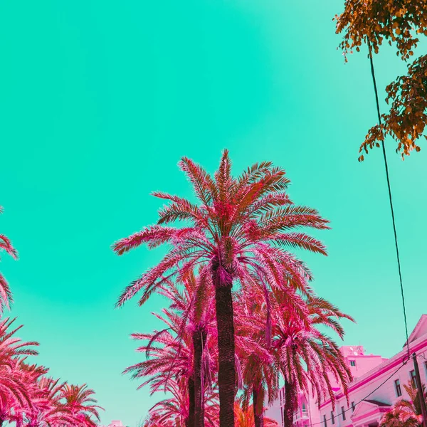 Pink palm trees and green sky. Minimal