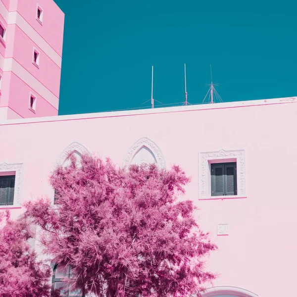 Pink plant against the wall of the building. Infrared style.