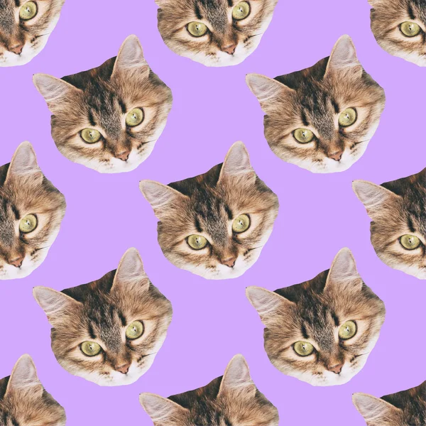 seamless cat head pattern on purple background