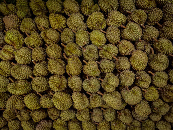 A large pile of durians neatly arranged with visible spiky textures and stems. Ideal for tropical fruit, agriculture, or market-themed design.