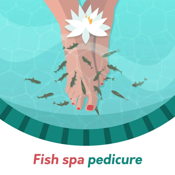 Balık spa Pedikür Garra rufa 