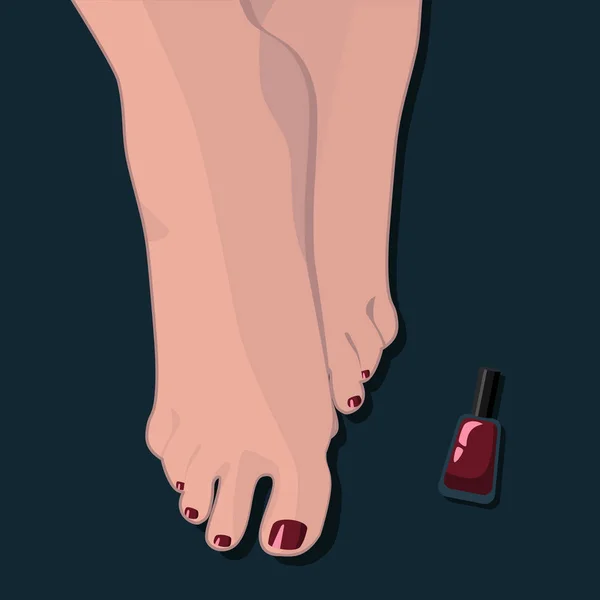 Boyalı ayak tırnaklarını. Pedikür. Bordo tırnak cilası. Vektör çizim.