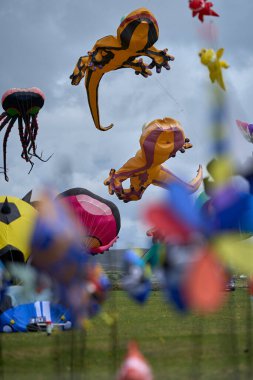 Kite Festival, kites on the sky. High quality photo
