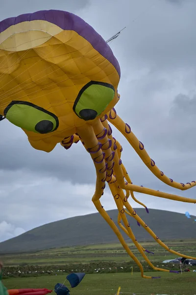 Kite Festival, kites on the sky. High quality photo