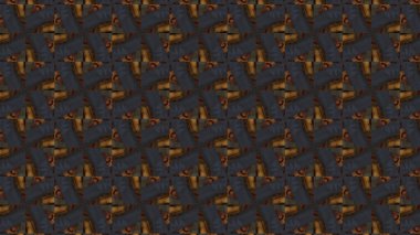 Çok renkli soyut arkaplan. Poster, broşür, broşür ve kart için renkli desen.