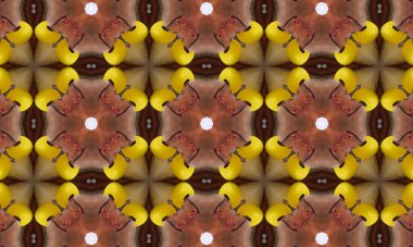 Çok renkli soyut arkaplan. Poster, broşür, broşür ve kart için renkli desen.