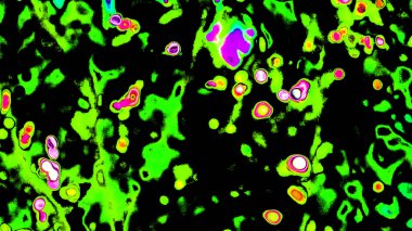 Kumaş, tekstil ve ambalaj kağıdı için ilginç bir arkaplan.