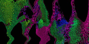 Bright artistic splashes with abstract color texture. Modern futuristic pattern. dynamic background