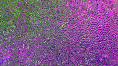 Modern fütürist model. dinamik arka plan. Yaratıcı grafik tasarımı için fraktal çizimler