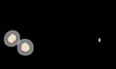 Renklerin, dokuların ve ilginç desenlerin mükemmel bir karışımı ile arkaplan