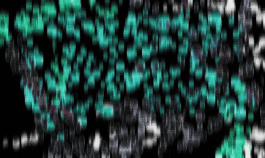 Renklerin, dokuların ve ilginç desenlerin mükemmel bir karışımı ile arkaplan