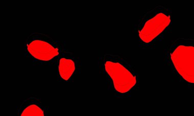 Festive decoration. Colorful abstract background. Glowing texture. Shining pattern