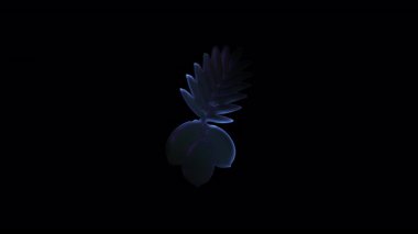 Dinamik botanik animasyonu organik büyümeyi gözler önüne seriyor, derin siyah arkaplan ve büyüleyici dönüşümsel hareket