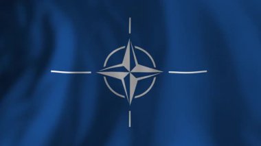 NATO bayrakları, Kuzey Amerika ve Avrupa 'daki üye ülkeler arasındaki uluslararası ittifakı ve diplomatik işbirliğini temsil eden hafif bir rüzgarla savruluyor.