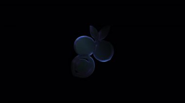 Olgun yaban mersinleri yavaşça koyu arkaplanda döner, doğal dokuları ve taze organik dutların koyu mavi rengini gösterir.