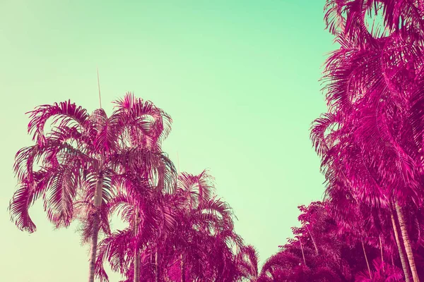 Purple palm trees silhouette against turquoise sky. Natural background. Toned image, filter effect, vibrant colors.