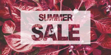 Yaz Satılık metin. Desen arka plan yaratıcı banner düzen pembe renkli yaprakları. 