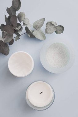 Kadın spa güzellik ürünleri üzerinde pastel mavi artalanları yukarıdan. Vücut, yüz, saç şeker tuz fırçalama, mum, okaliptüs. Minimalizm bloglama kavramı