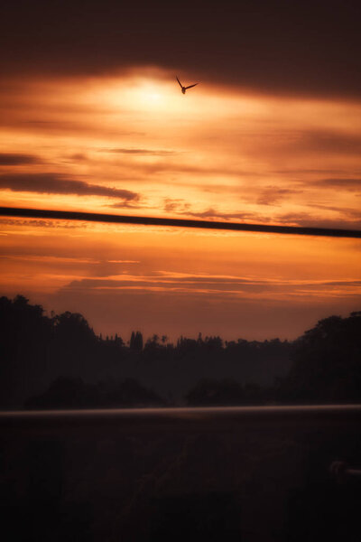 One Bird Flying Dramatic Vivid Orange Sunset Mountains Cloudy Skyline — Stock Photo, Image
