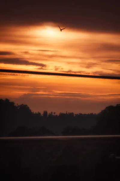 One Bird Flying Dramatic Vivid Orange Sunset Mountains Cloudy Skyline Stock Picture