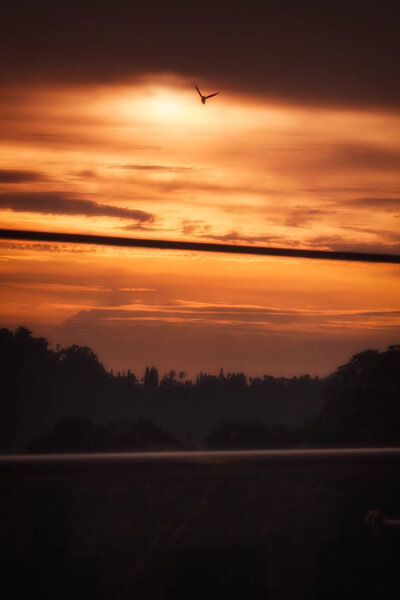 One Bird Flying Dramatic Vivid Orange Sunset Mountains Cloudy Skyline Royalty Free Stock Photos