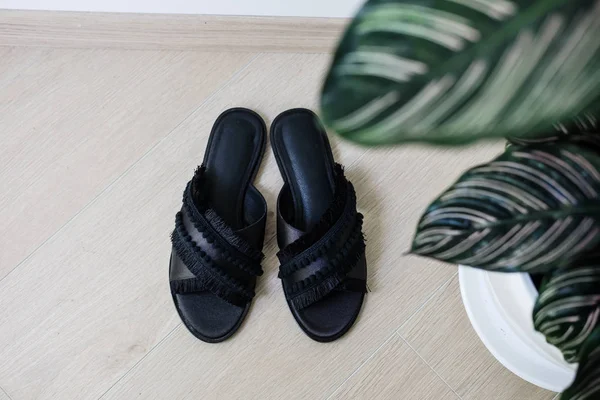 Woman's black elegant sandals minimalism concept — Stock Photo, Image