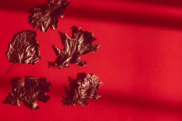ฤดูใบไม้ร่วง flatlay ใบกุหลาบทองบนพื้นหลังสีแดง — ภาพถ่ายสต็อก
