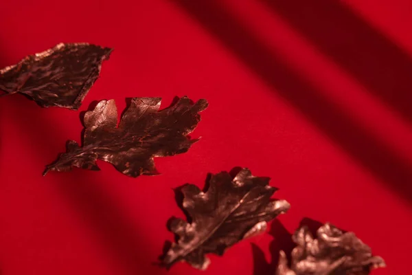 ฤดูใบไม้ร่วง flatlay ใบกุหลาบทองบนพื้นหลังสีแดง — ภาพถ่ายสต็อก