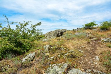 Granit taşlar ve yeşilliklerle kayalık tepenin görünümü. Kayalar ve mavi gökyüzü manzara.