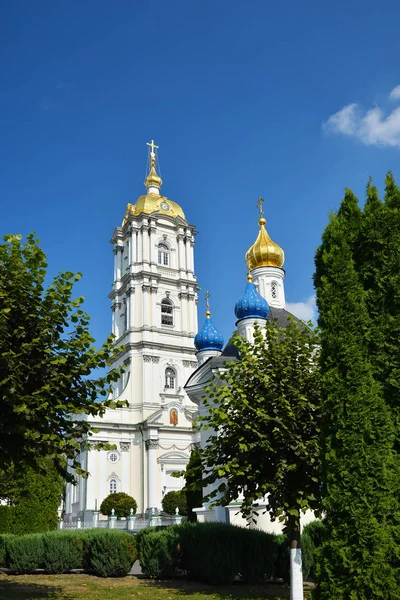 Культові Будівлі Християнські Собор Золотими Куполами Величезний Релігійний Комплекс Башта — стокове фото