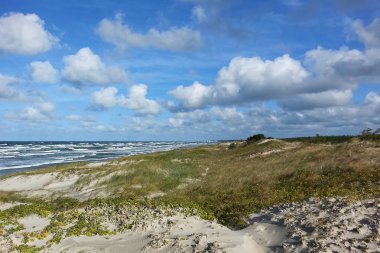 Deniz Baltık kıyısında. Doğa korumak uzun kumlu sahil Kursiu Nerija, Curonian Spit.