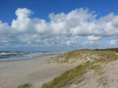 Deniz Baltık kıyısında. Doğa korumak uzun kumlu sahil Kursiu Nerija, Curonian Spit.