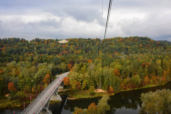 Herbstlandschaft Einem Kühlen Bewölkten Tag Panoramablick Auf Den Laubfall Wald — Stockfoto