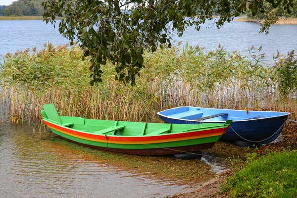 Wooden boats tied near the shore of the lake in the reeds.