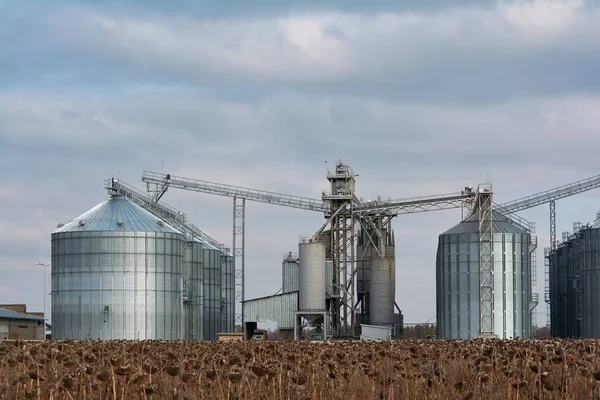Tarımsal alanda tahıl asansörü. Tahıl almak, temizlemek, kurutmak, tahıl sevkiyatı için mekanik ekipmana sahip tahıl ambarı.
