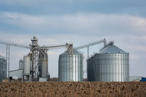 Ascensor Grano Zona Agrícola Granero Con Equipo Mecánico Para Recepción — Foto de Stock