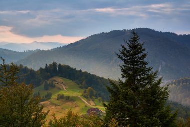 Dağ manzarası, sonbahar güneşli sabahı. Karpat Dağları, 