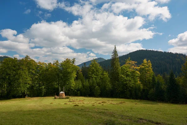 Haystack. Prado, pedaço de prado, especialmente um usado para h — Fotografia de Stock