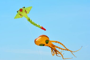 Uçurtma uçak rüzgar gücü ile kaldırılır. Uçurtma festivali.