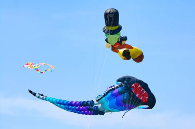 Uçurtma uçak rüzgar gücü ile kaldırılır. Uçurtma festivali.