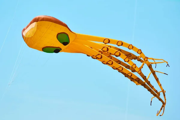 Kite är flygplan lyfts av vindkraft. Kite Festival. — Stockfoto