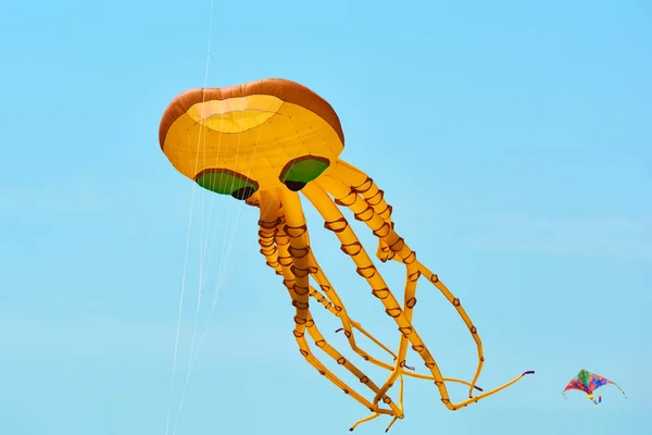 Le cerf-volant est un avion soulevé par l'énergie éolienne. Festival de cerfs-volants . — Photo