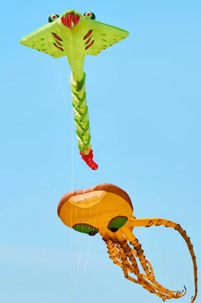 Le cerf-volant est un avion soulevé par l'énergie éolienne. Festival de cerfs-volants . — Photo