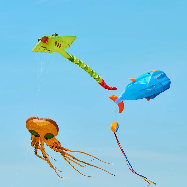 Le cerf-volant est un avion soulevé par l'énergie éolienne. Festival de cerfs-volants . — Photo