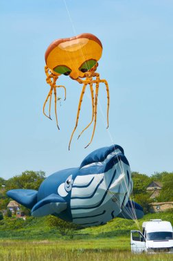 Trykhaty, Mykolaiv bölgesi, Ukrayna - 18 Mayıs 2019: Kitefest, Tryhutty Uluslararası Uçurtma Festivali 2019 Trykhaty, Ukrayna. Yıllık kitefest.