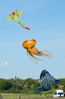 Trykhaty, Mykolaiv bölgesi, Ukrayna - 18 Mayıs 2019: Kitefest, Tryhutty Uluslararası Uçurtma Festivali 2019 Trykhaty, Ukrayna. Yıllık kitefest.